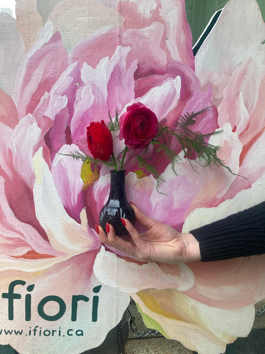 Ranunculus in Bud Vase