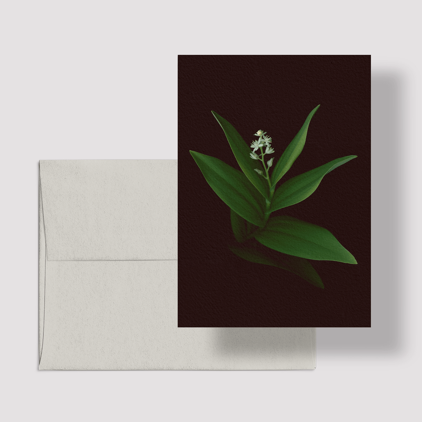 Card / Starflower
