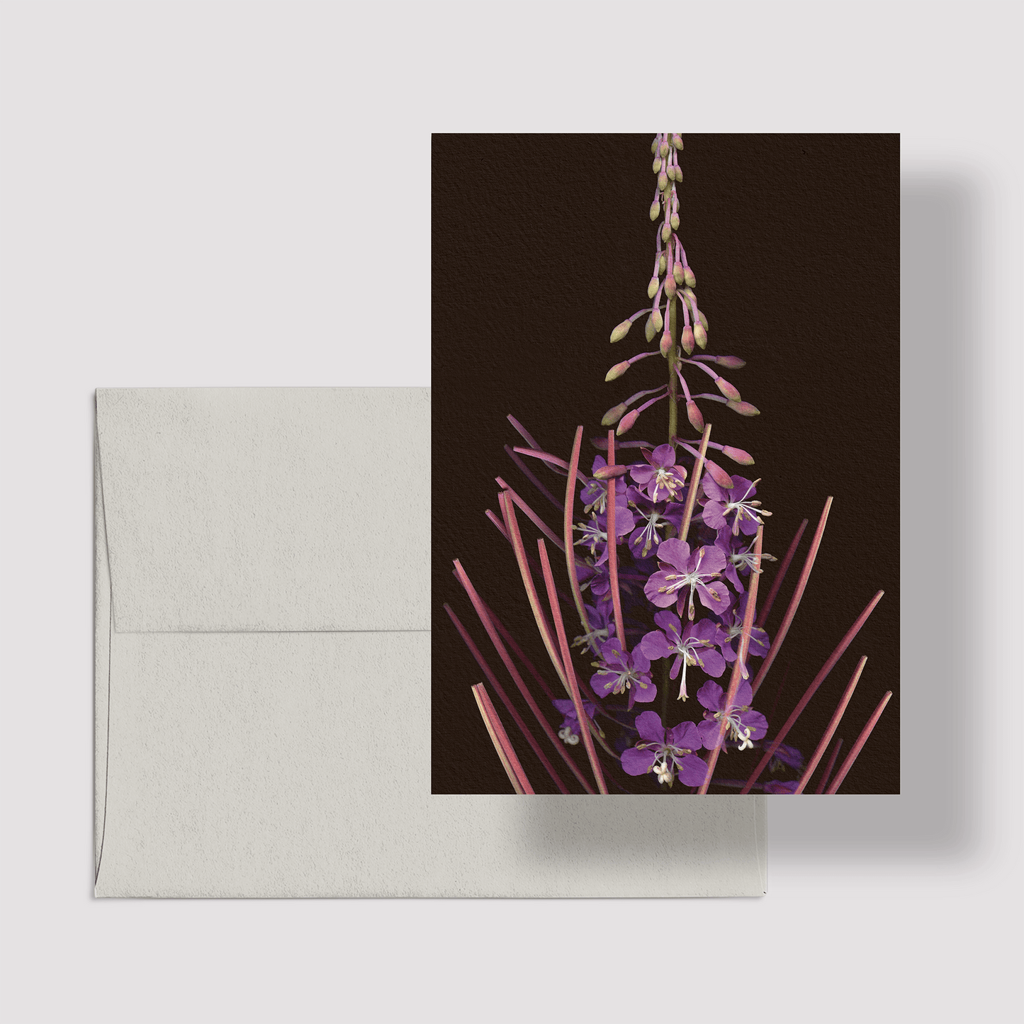 Card / Fireweed