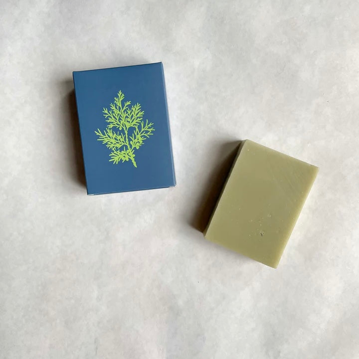 ALTR Soap