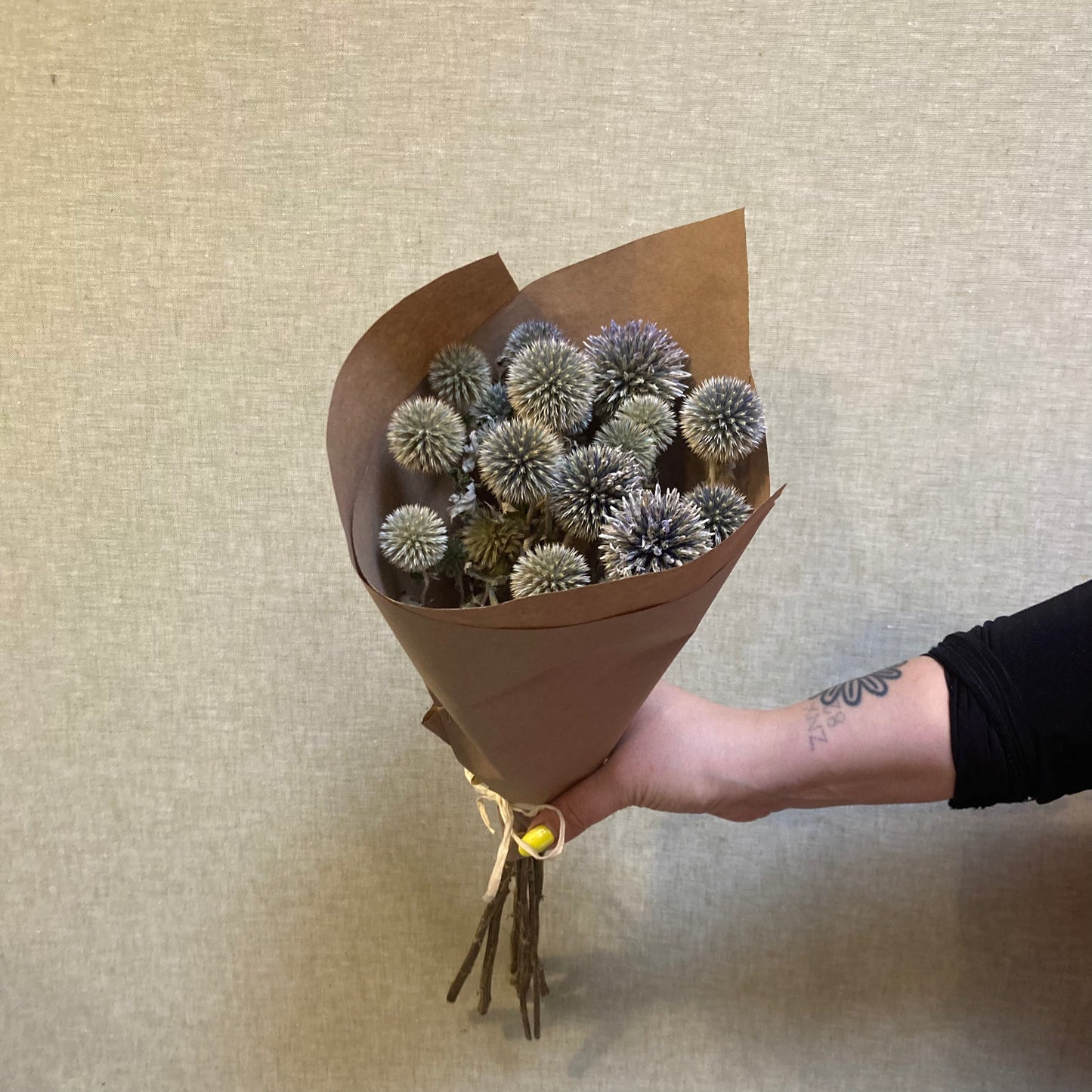 Dried Echinops bunch
