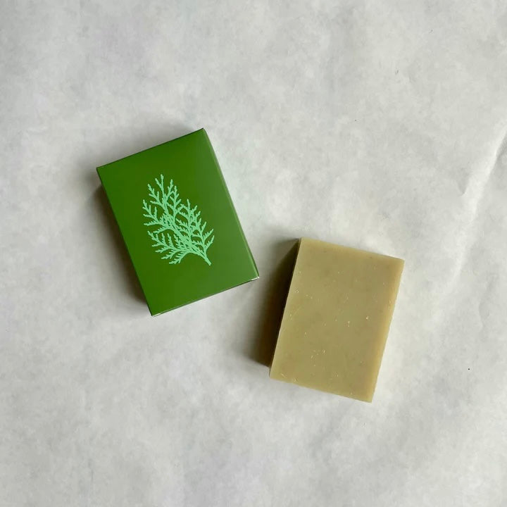 ALTR Soap