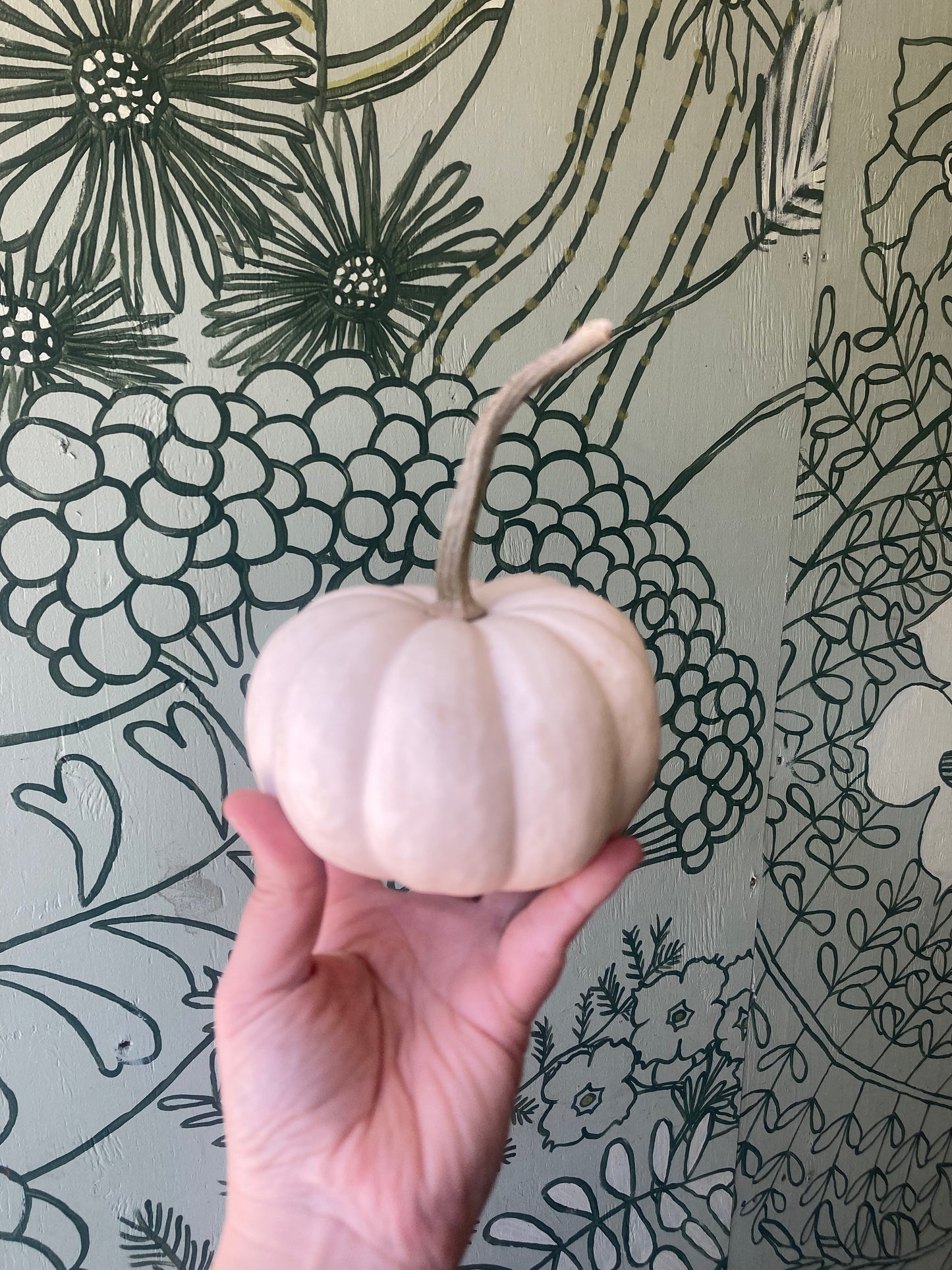 Decorative Gourd