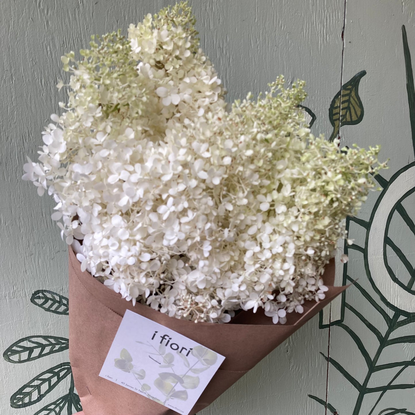 Hydrangea bunch