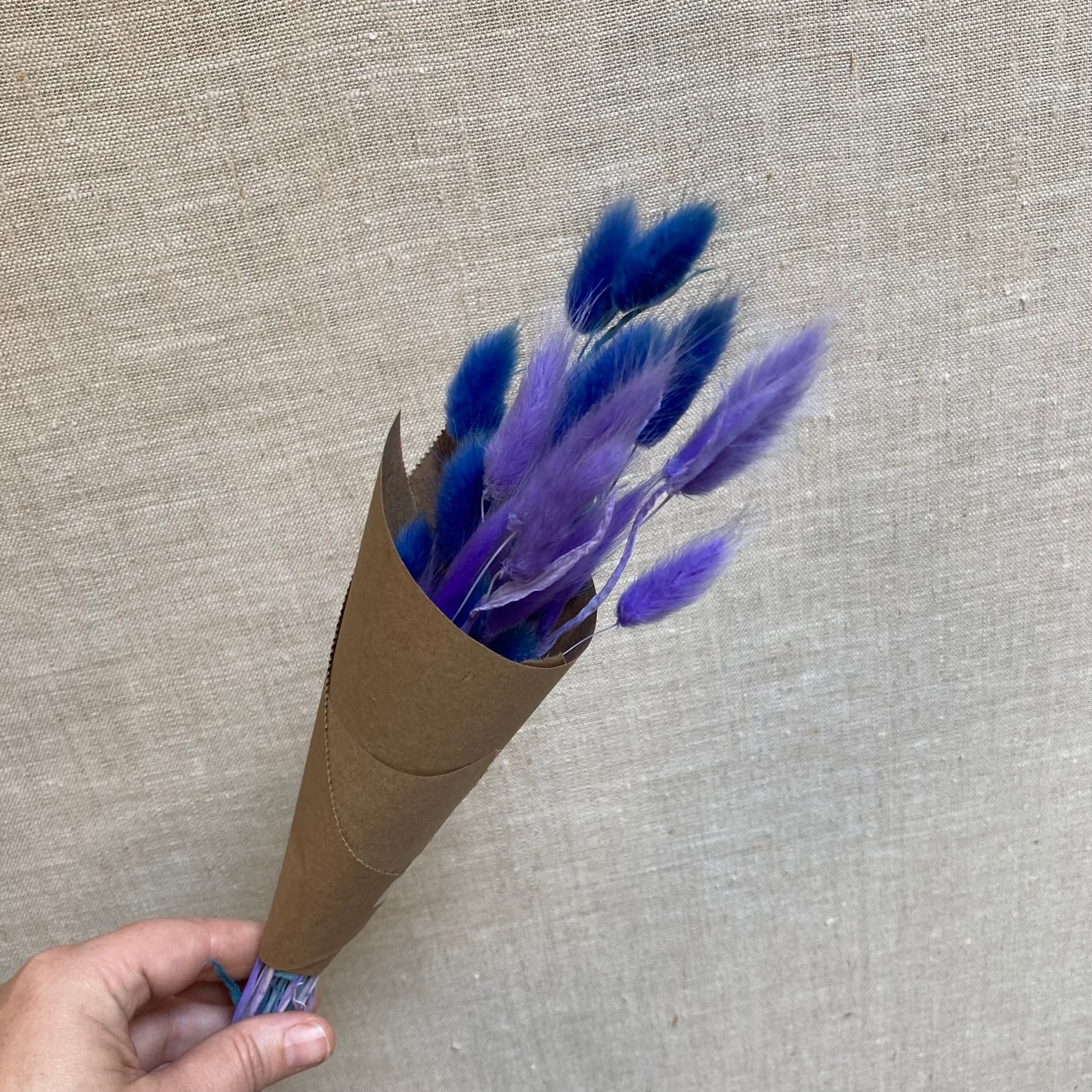 Dried Bunny Tail Bunch