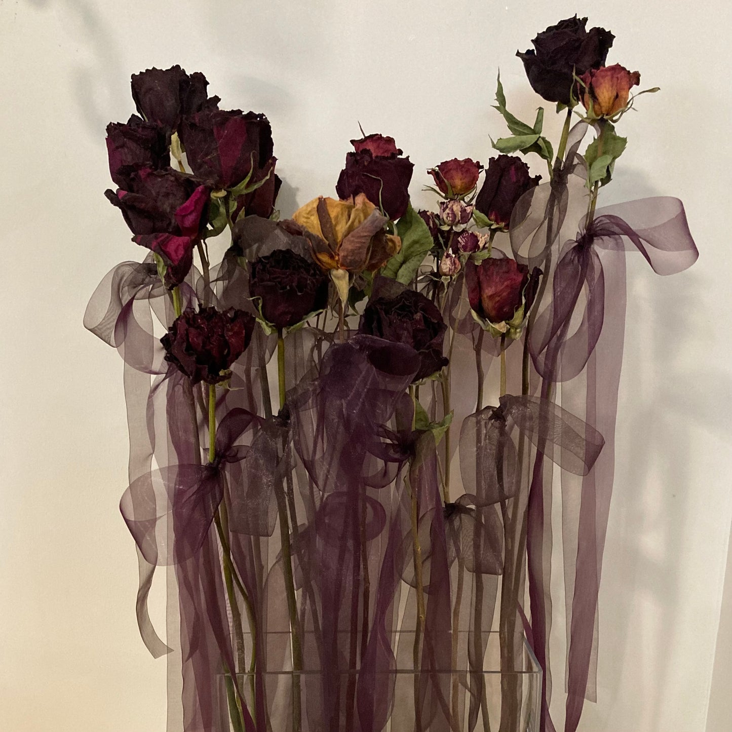 Single Dried Rose- Season of the Witch