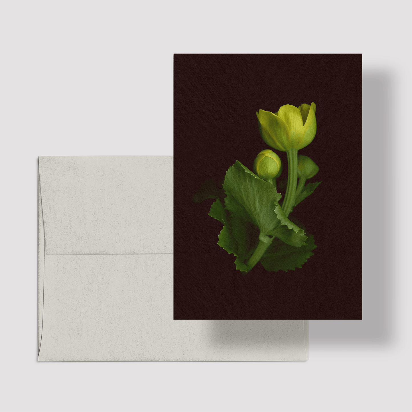 Card / Marsh Marigold