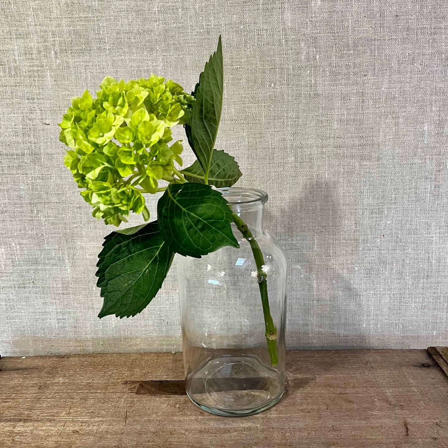 Glass Milk Bottle Vase for Bouquets