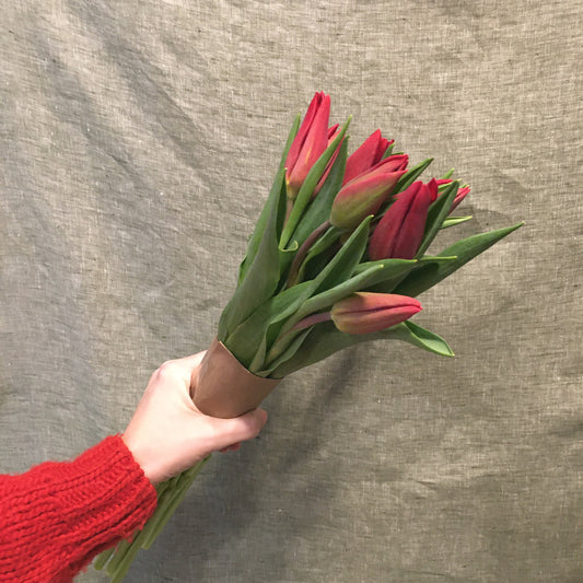 Mother’s Day Tulip bunch (plain & fancy)