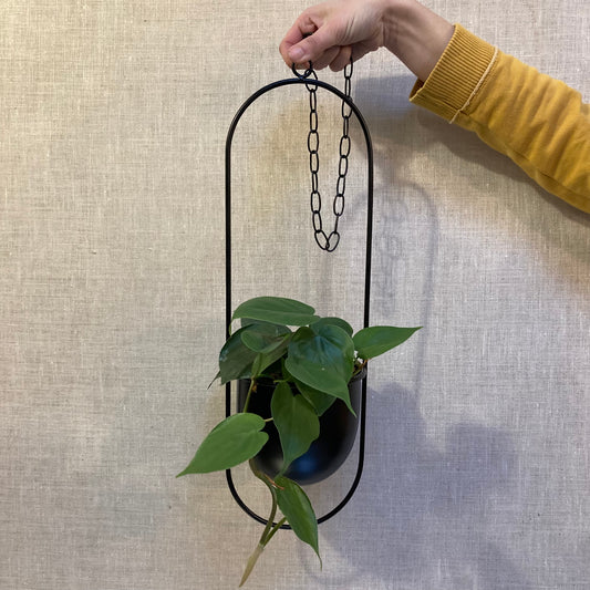 Metal Planter - Oval - Hanging
