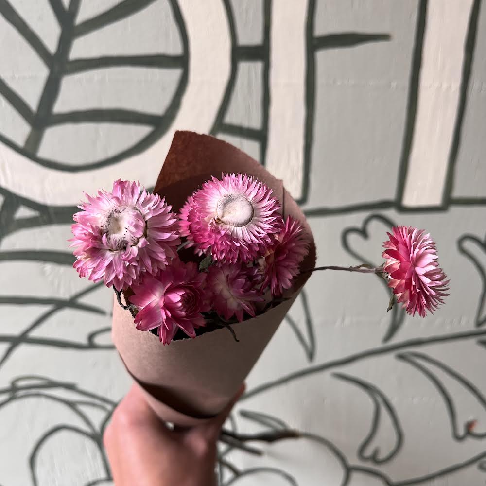 Dried Strawflower Bunch