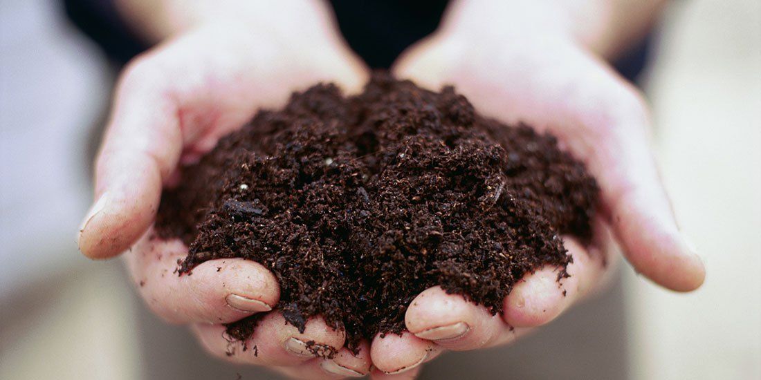 Potting soil