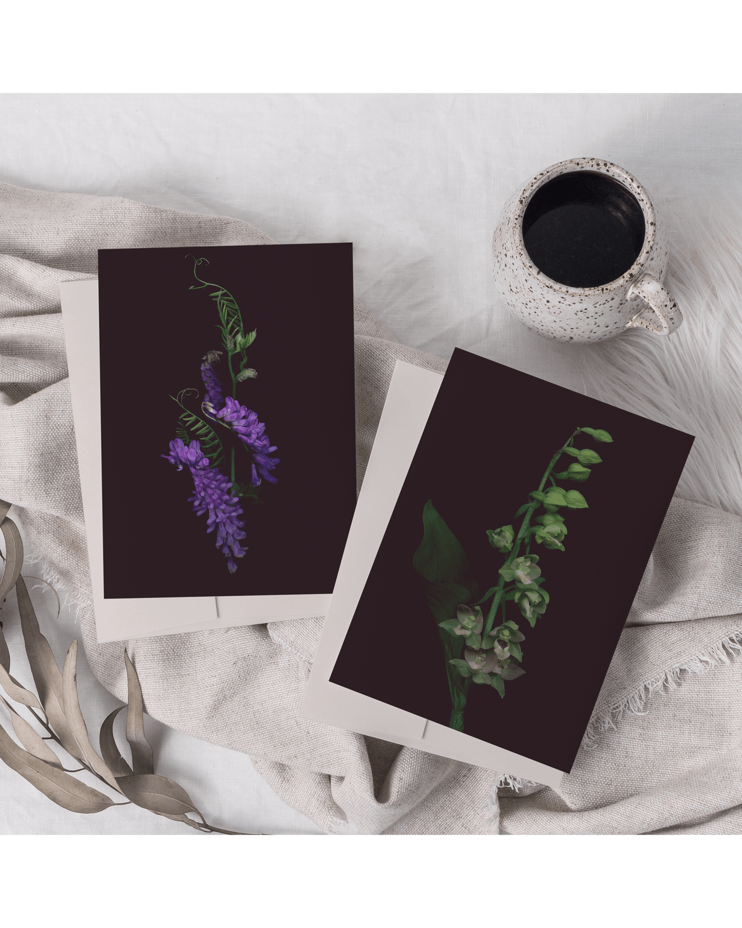 Card / Broad-Leaved Helleborine