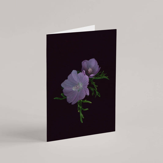 Card / Musk Mallow