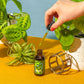 Organic Neem Oil - Kelpy