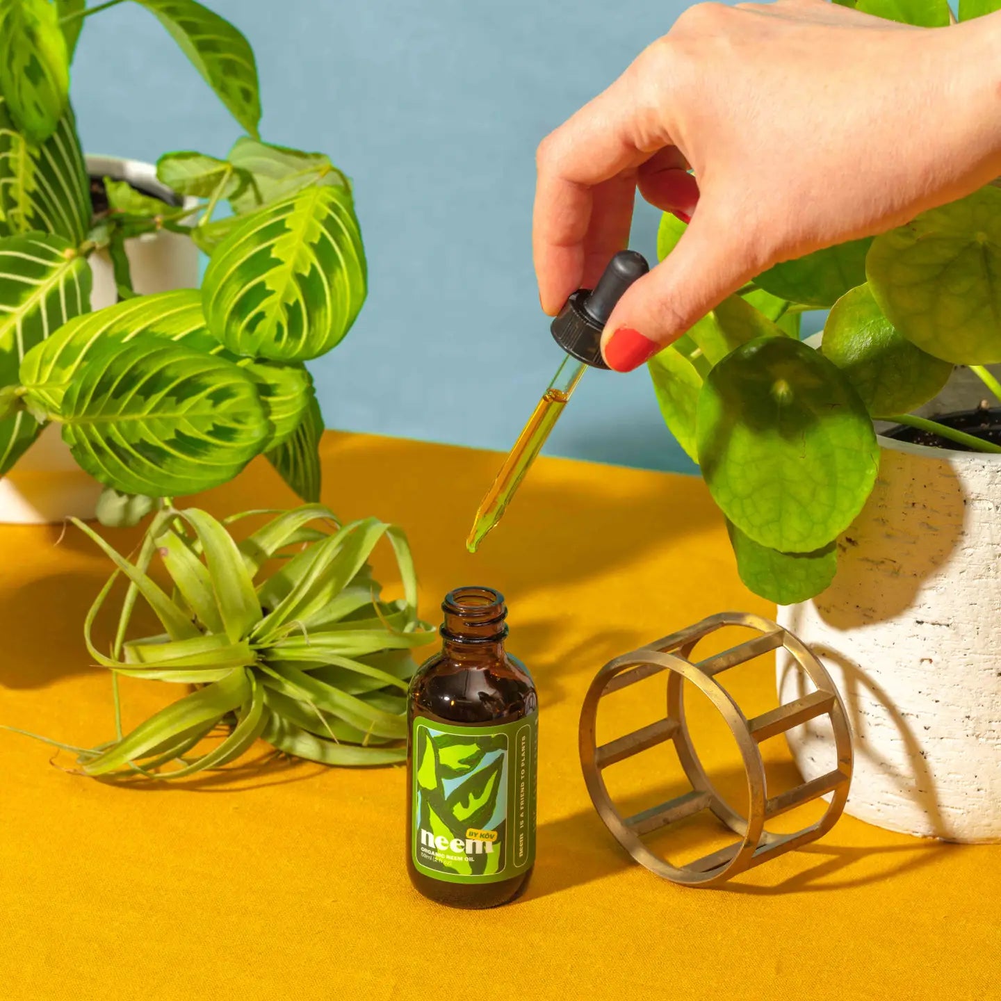 Organic Neem Oil - Kelpy
