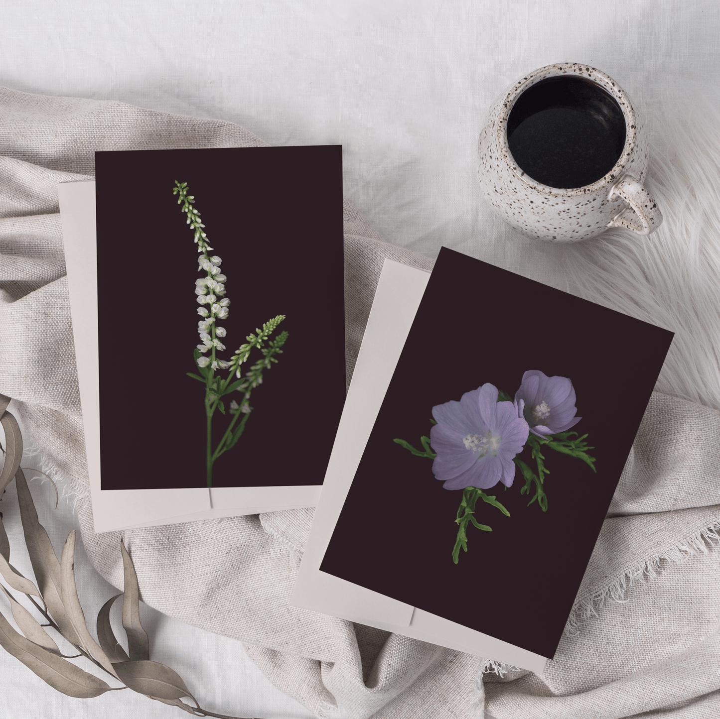 Card / Musk Mallow