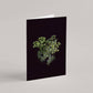 Card / Meadowsweet