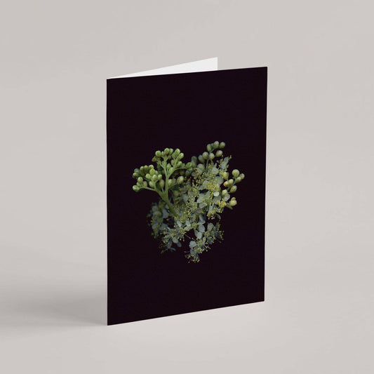 Card / Meadowsweet