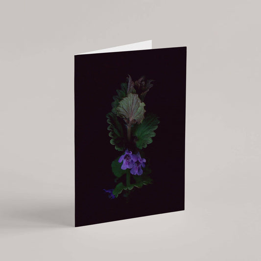 Card / Ground Ivy