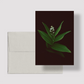 Card / Starflower