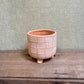 Terracotta Pots - White Lattice