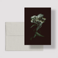 Card / Pearly Everlasting