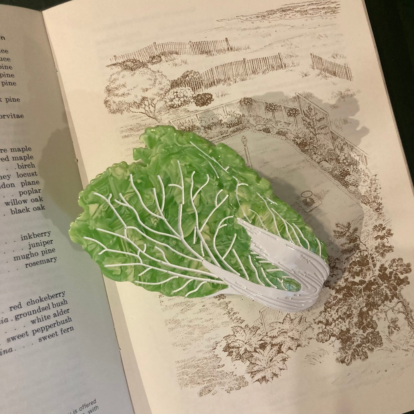 Hair Clip - Fruits