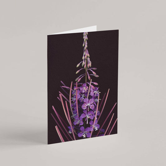 Card / Fireweed