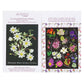 Flowers of Canada + Priovince/Territory Vinyl Stickers (2-Pack)