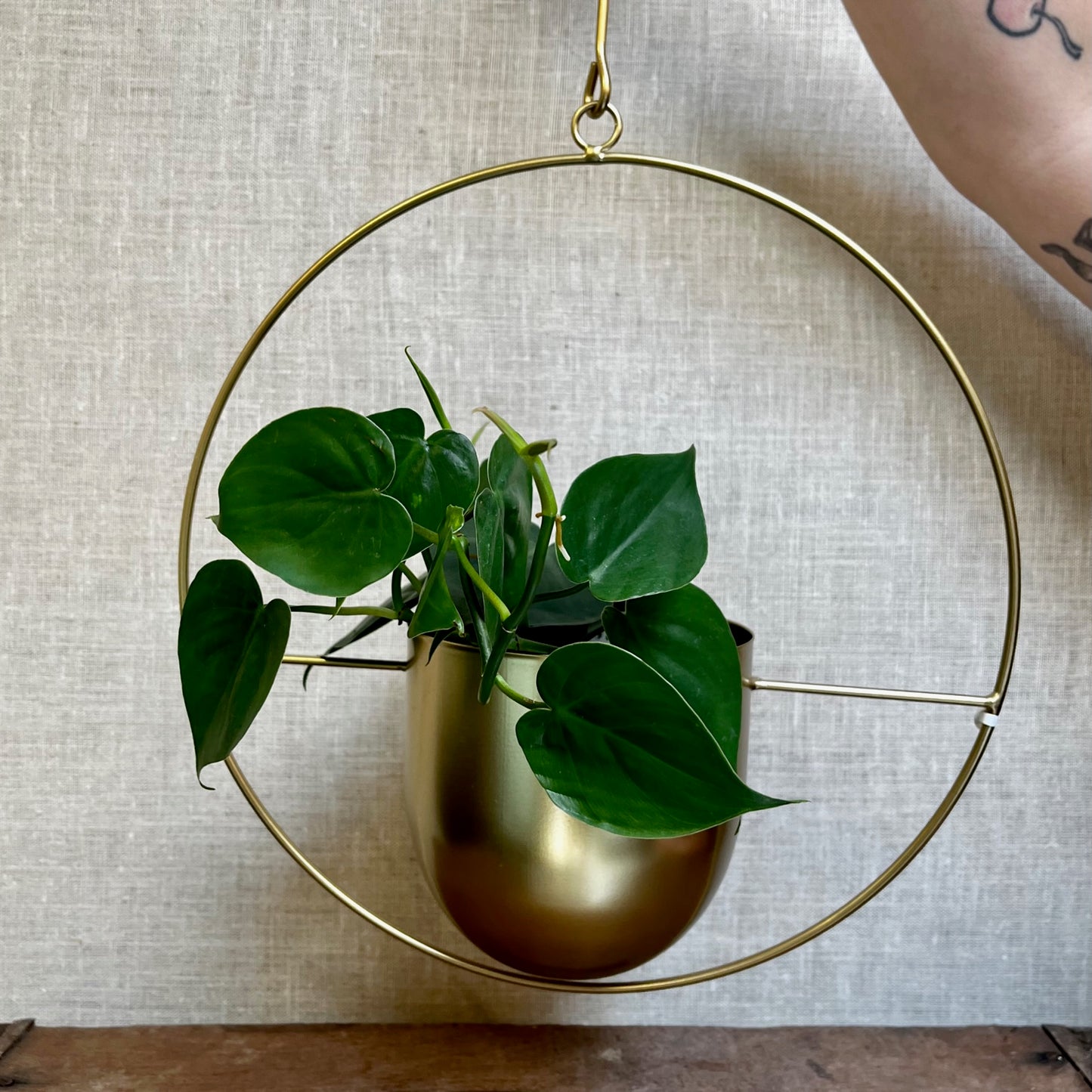 Circle planter - hanging