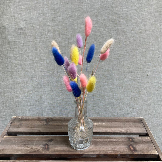 I FIORI Dried Bunny Tail Vase