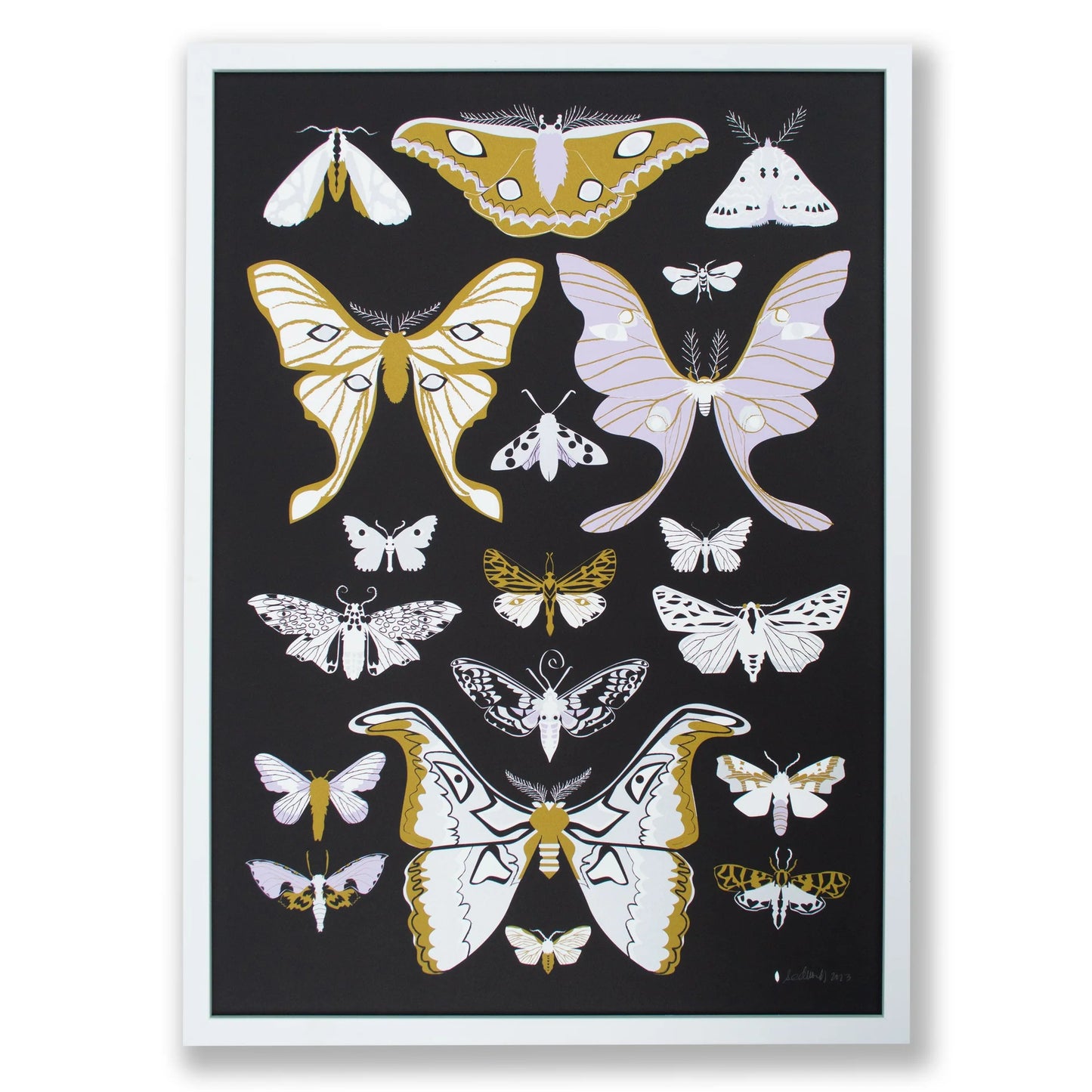 Screenprint - Moths