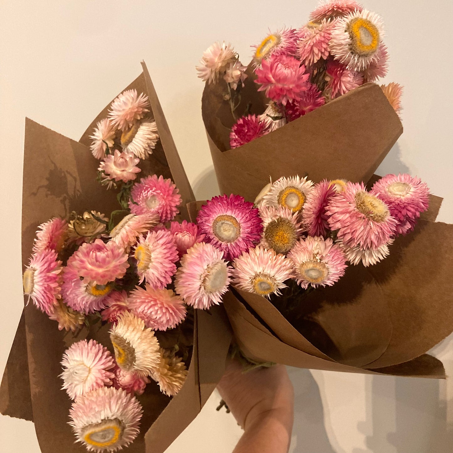 Dried Strawflower Bunch