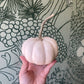 Decorative Gourd
