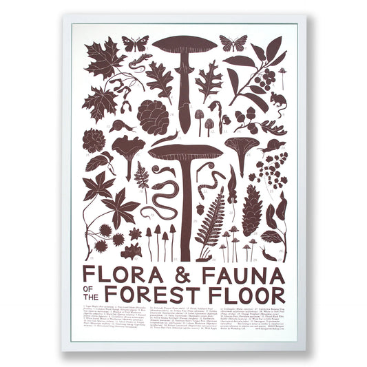 Screenprint - Forest Floor