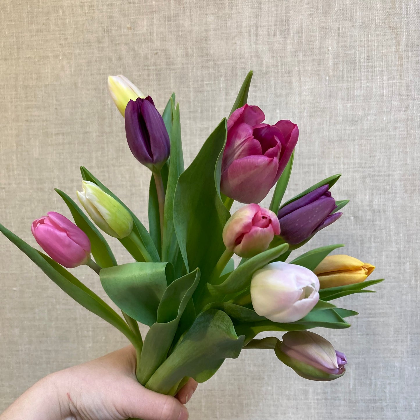 Valentine’s Day Tulip bunch