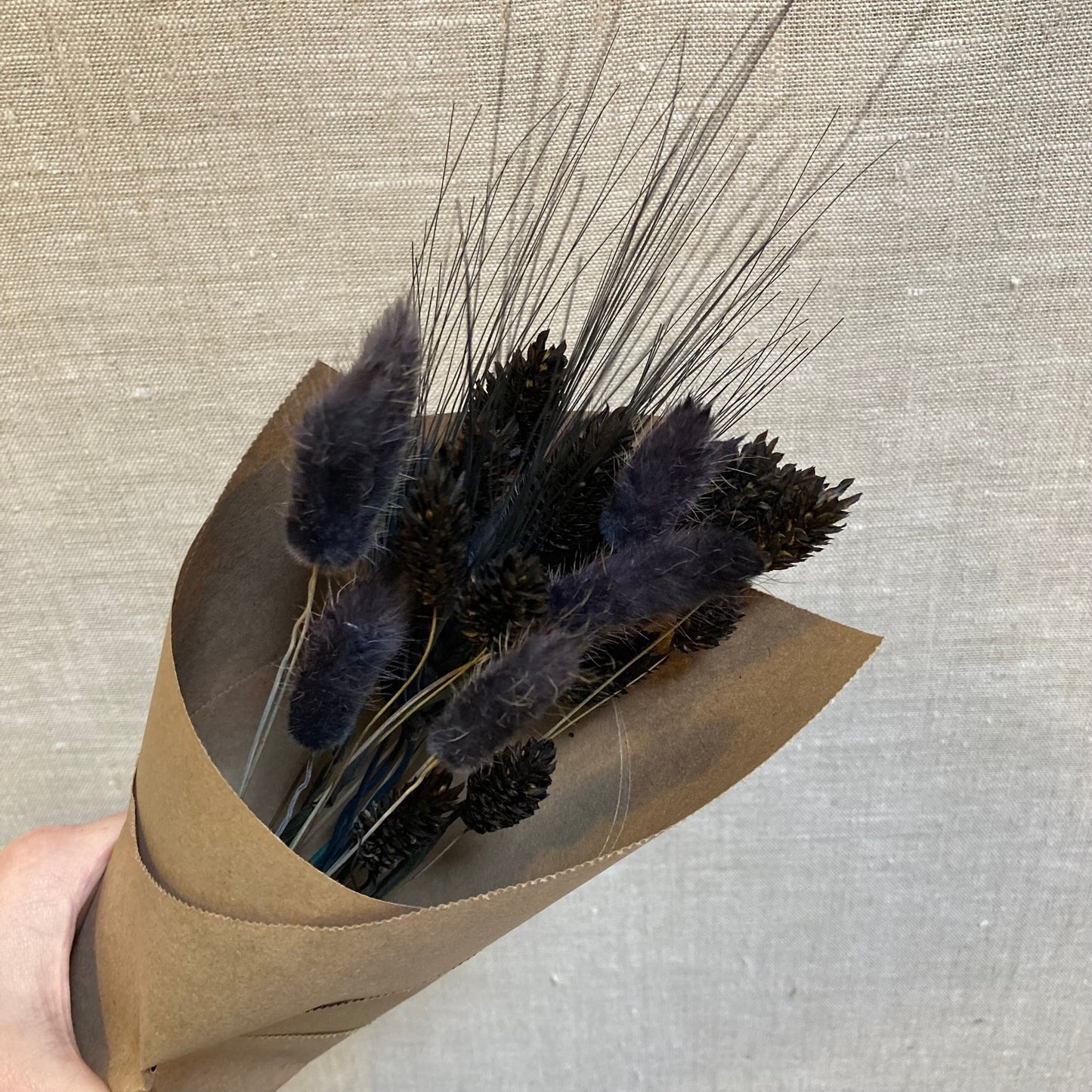 Dried Black Grasses Bunch