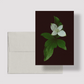 Card / Canadian Bunchberry