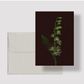 Card / Broad-Leaved Helleborine