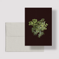 Card / Meadowsweet