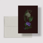 Card / Ground Ivy