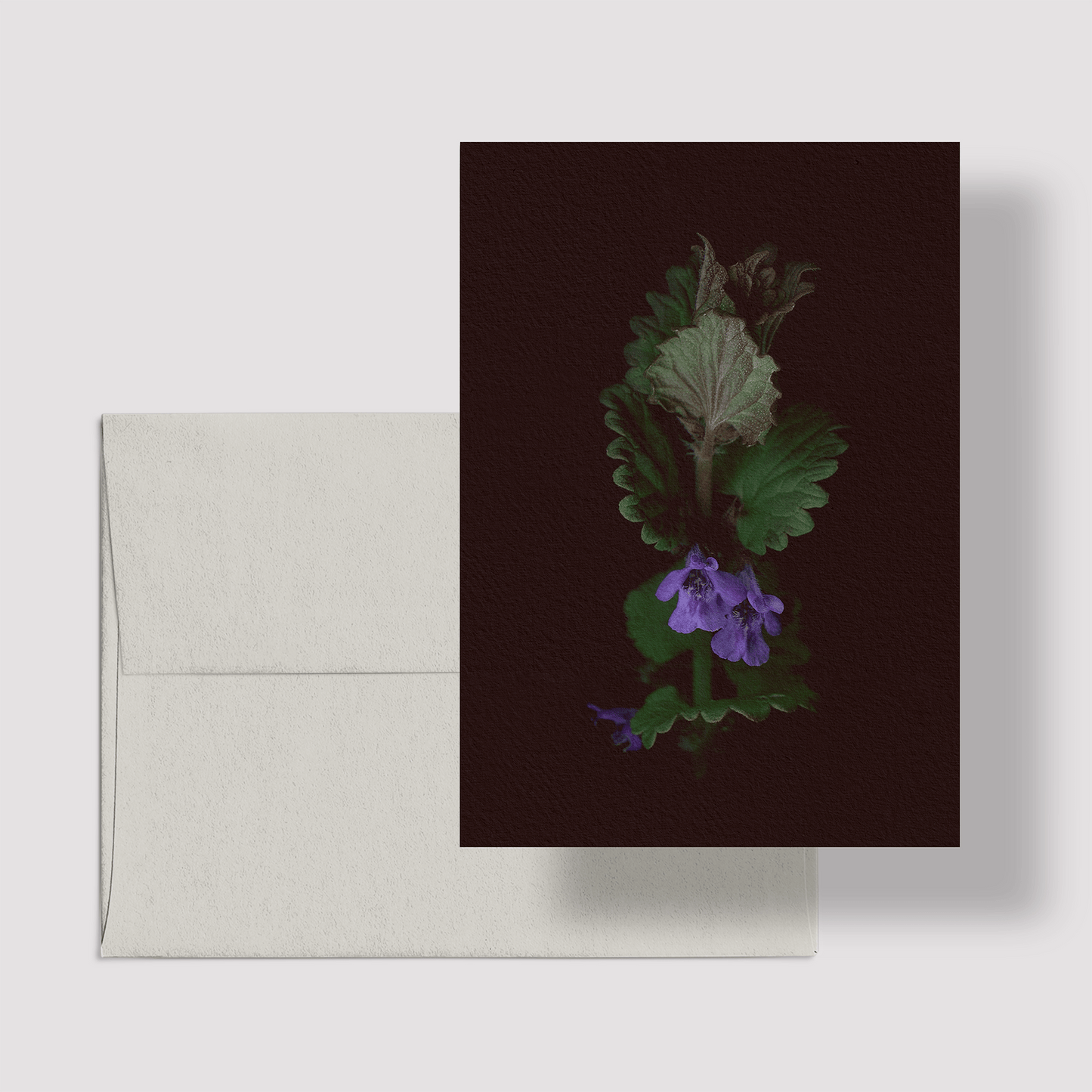 Card / Ground Ivy
