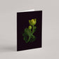 Card / Marsh Marigold