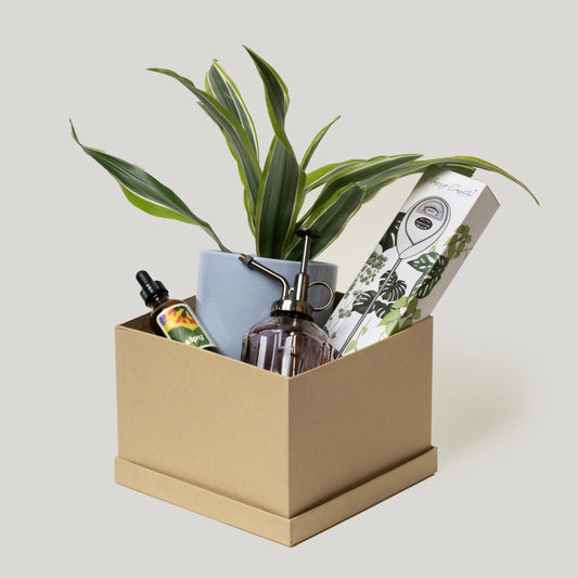Plant Lover Curated Gift Box Set
