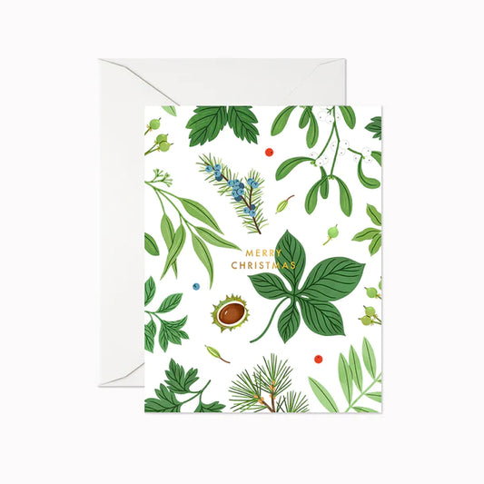 Card: Holiday - Christmas Greenery (White Background)