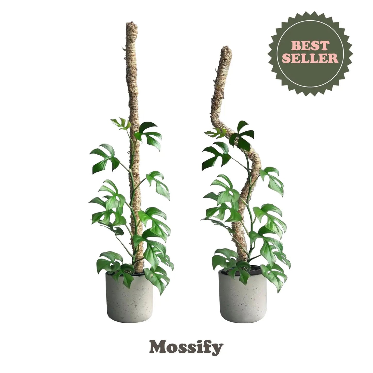 Mossify Bendable Mossy Pole