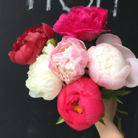 Mother’s Day Peony Bunch