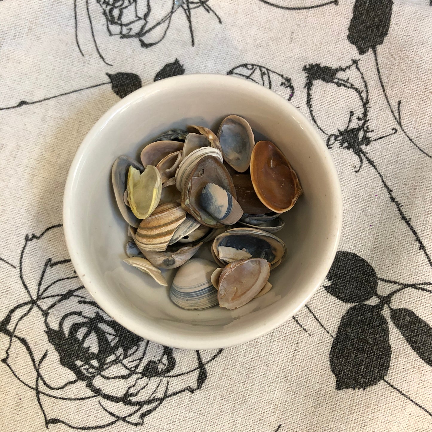 Decorative Stones - Earth Tones