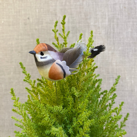 Decorative Bird